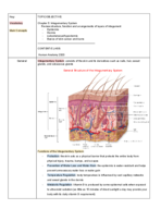 Human Anatomy 2320 Chapter 5 Notes 