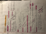 Principles of Macro economics week 1 - Chapter 3 