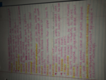 Sociology Chapter 3 Important terms