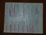 FIN 3300 Exam 1 