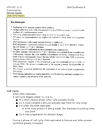 DNA Synthesis & Transcription Review 