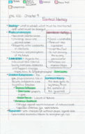 PSC 100 Chapter 4