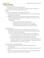 Cardiovascular System Review 
