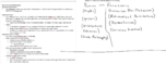 Architecture History 2 Notes - Week 2