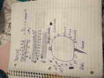 Notes for Midterm 