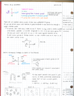Biochemistry Week 2 Class Notes