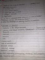 Statistics Chapter 1 The Study of Statistics