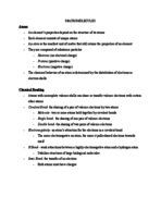 Macromolecules 