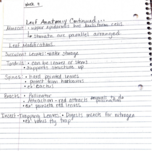 Plant Biology Week 4 Notes 