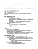 Sensation and perception week 2 notes