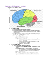 Psych150 week 4