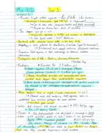 Exam 1 Study Guide 
