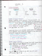 Spanish 201 Lesson 2 study guide