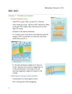 BSC 2023 Continued Chapter 7