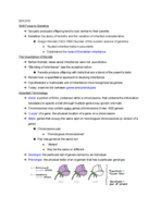 Biology 111, Week 6 Notes