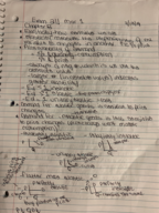 Chapter 5 