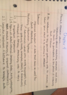 Chapter 4 notes