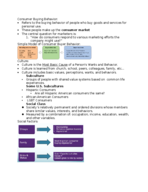 Chapter 5 Notes 