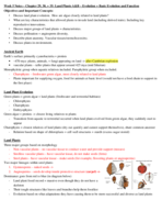 Week 5 Notes (2-13-2019)