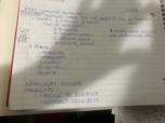 Week 3 notes