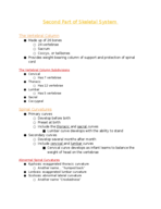 Second Part of Skeletal System 