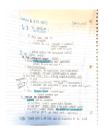 History 1301: Week 4
