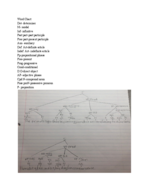Grammar 021, Lecture Notes Week 6