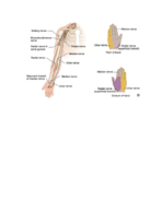 Bio 132