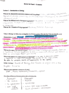 Exam 1 Notes