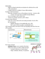 Class Notes Week 5 Animal Functions