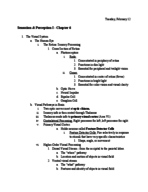 Sensation & Perception I - Chapter 6