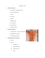 respiratory system