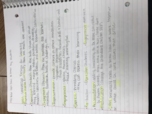 Midterm
