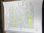 Week 3 Notes