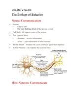 Psych 101 chapter 2 notes