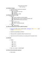 Bio 1202 Prokaryotes and Protists