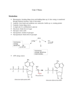 class notes metabolism