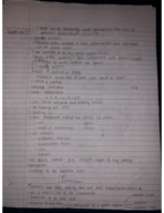 Week 4 Notes