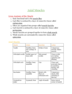 Axial Muscles