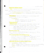sociology week 6