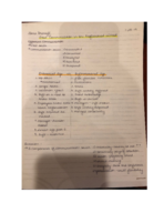 Oral Communication Notes week 1