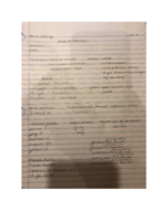 Phonetics week 1 notes