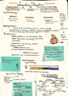 Psychology Notes