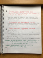 MACRO ECONOMICS CHAPTER 10
