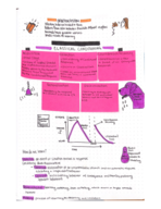 Psychology Notes 