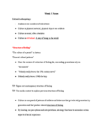 Theorizing Communication and Media, Week 3