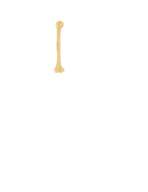 biology 132