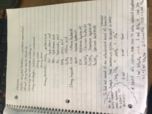 Notes for Exam 2