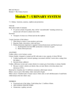 Anat & Phys 2 (Bio 265) Week 8 Notes