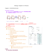 Biology Review Chapters 3, 4, and 5